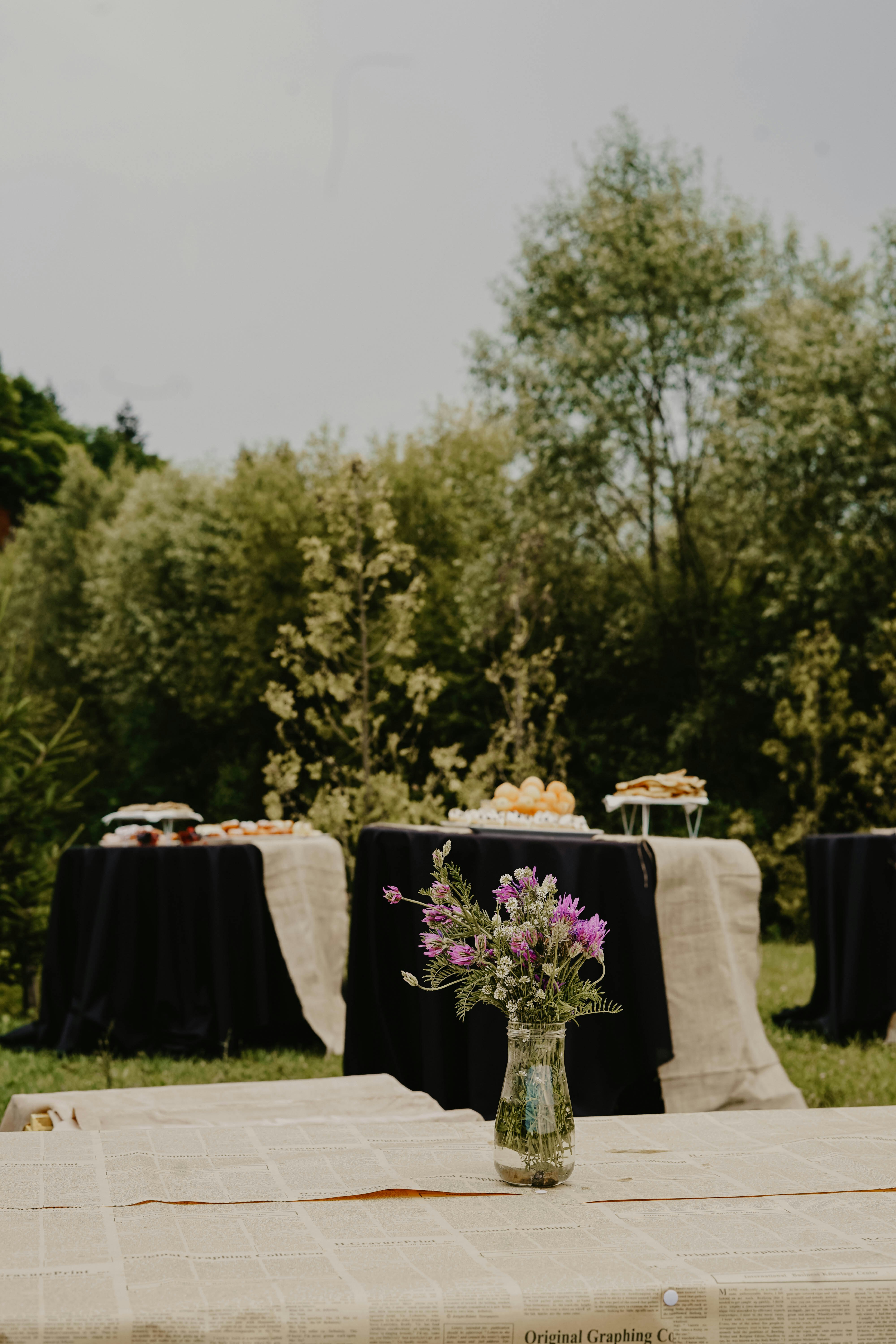 pink petaled flowers on vase on tables